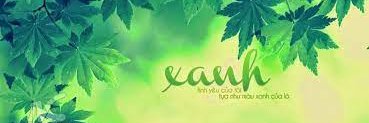 Leisa Beverley banner