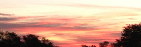 Saffinator Profile Banner