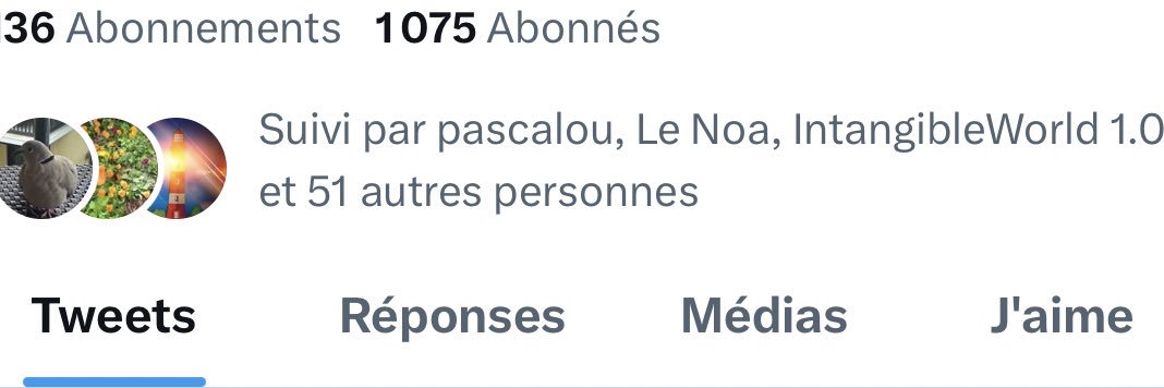Agathe Christie banner