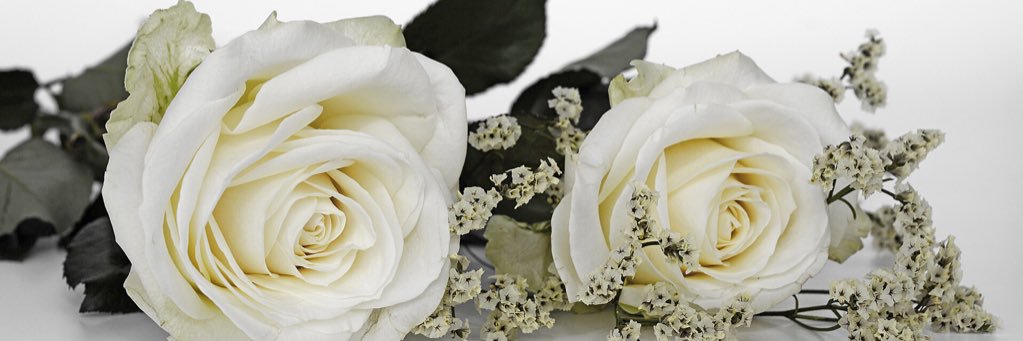 Makeothersbeta's profile banner image