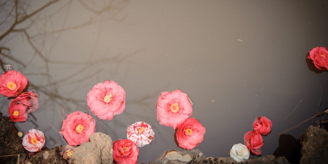 sugarhello's profile banner image