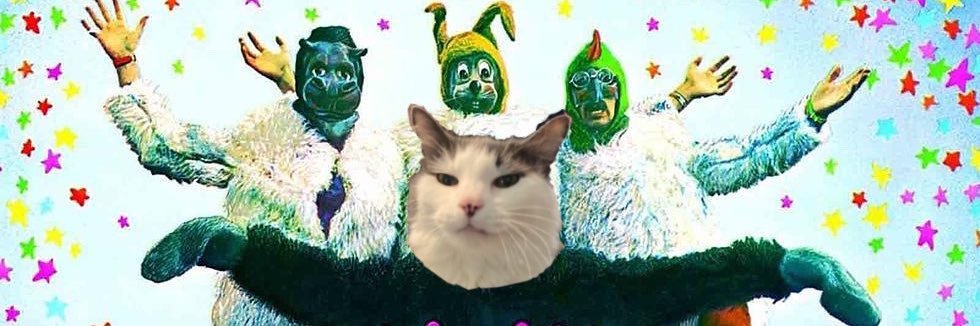 Stanley Meowski 🐈‍⬛ banner