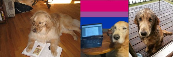quokka_stan Profile Banner