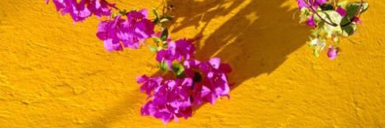 EilingHf's profile banner image
