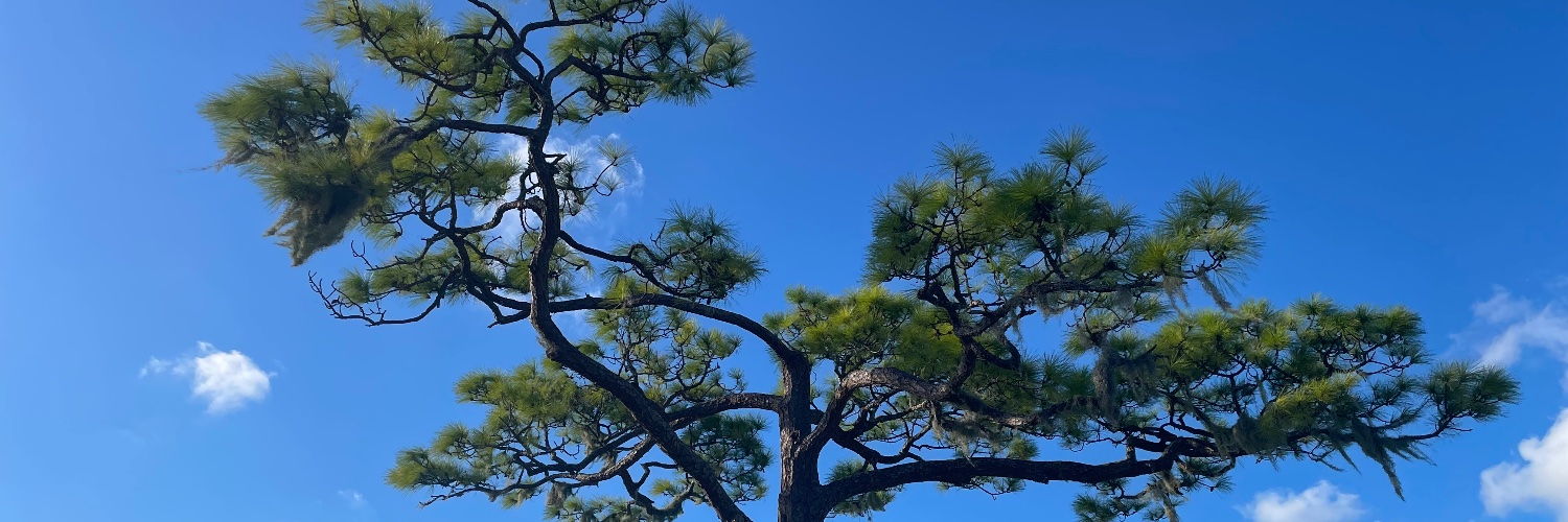emelyj33's profile banner image