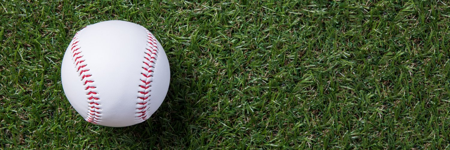 ベースボールクロニクル - Baseball Chronicle banner