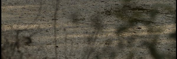 mermaidsashimi0 Profile Banner