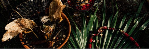 AlgolAluvaia Profile Banner