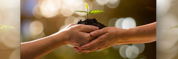 FamilyBusiness.org banner