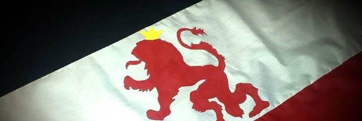 Cesar Ernesto banner