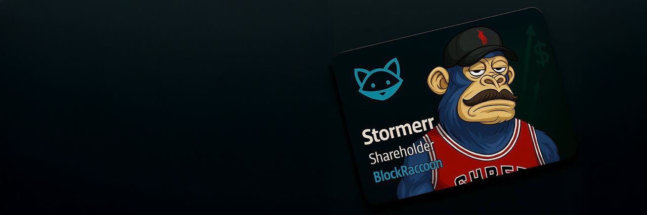 Stormerr banner