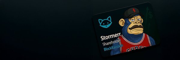stormer5802 Profile Banner