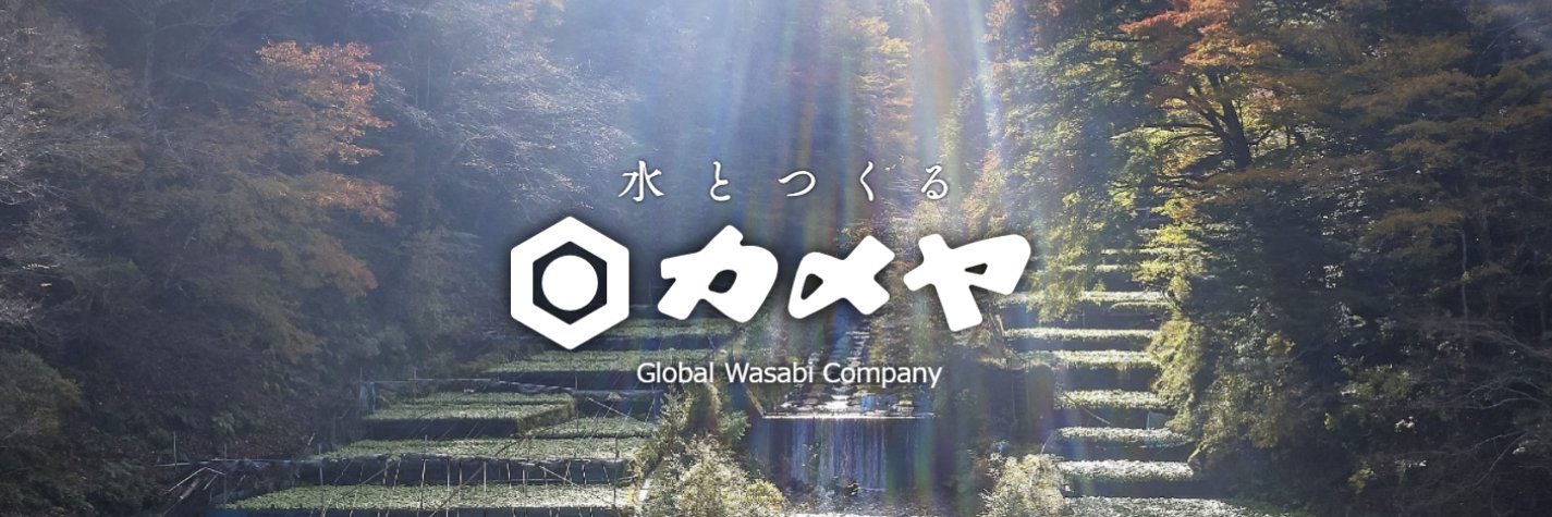 カメヤ食品公式／伊豆のわさび屋's banner
