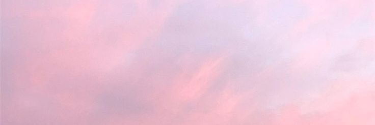 𝐫𝐢𝐢𐂂🌼 banner
