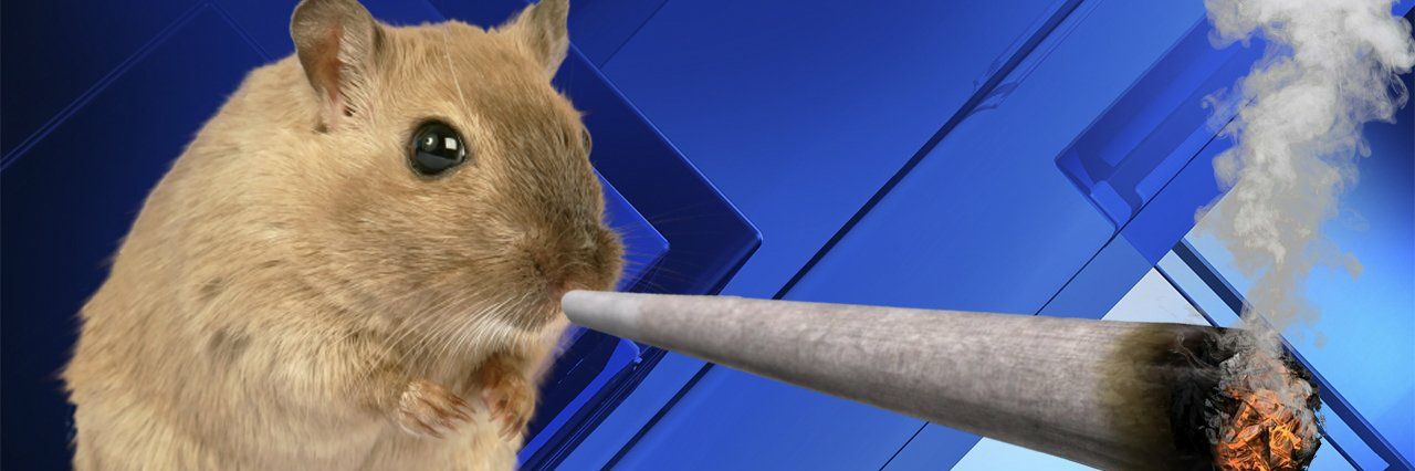 PanthersBff's profile banner image