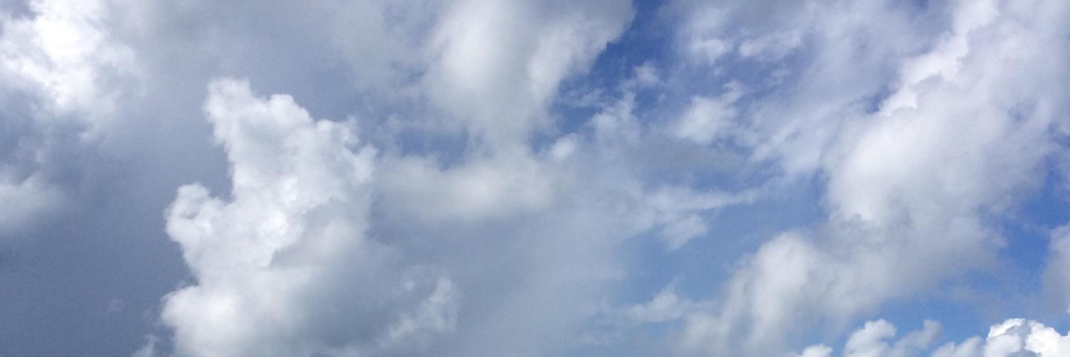 alyssagundred banner