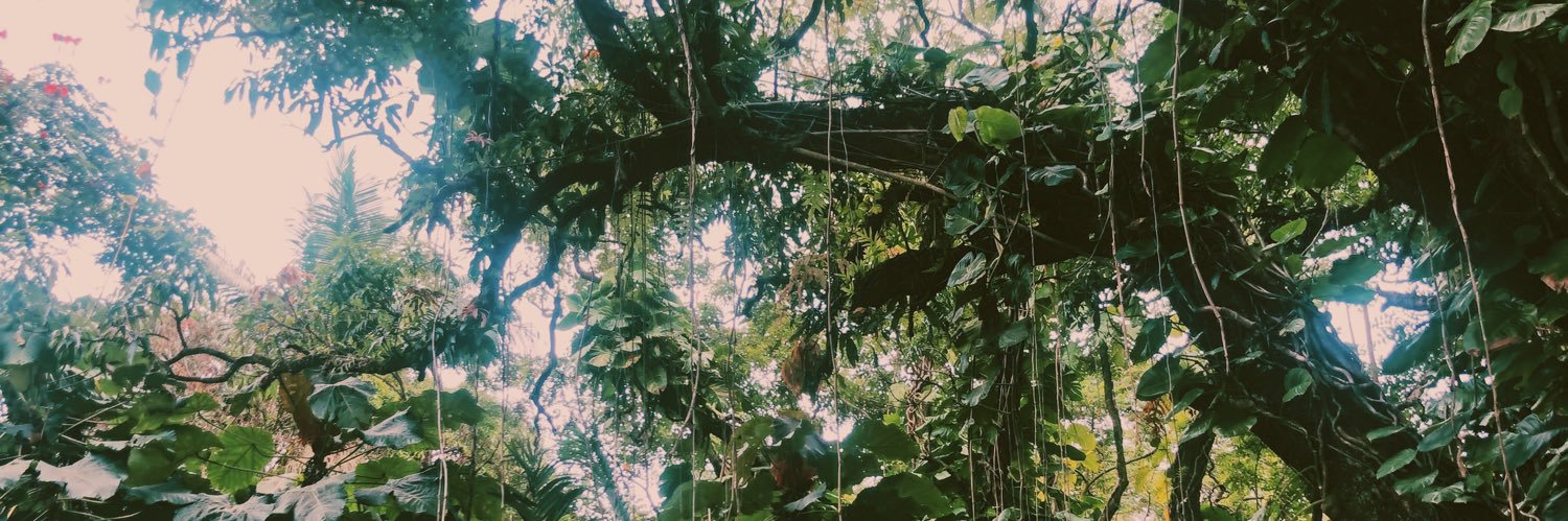 mikaylaparsons's profile banner image