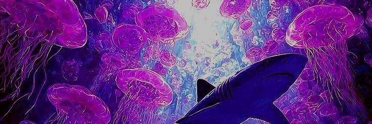 cijey_19's profile banner image