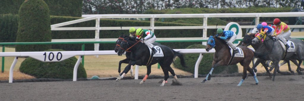 タケ坊@馬なり単走🍡 banner