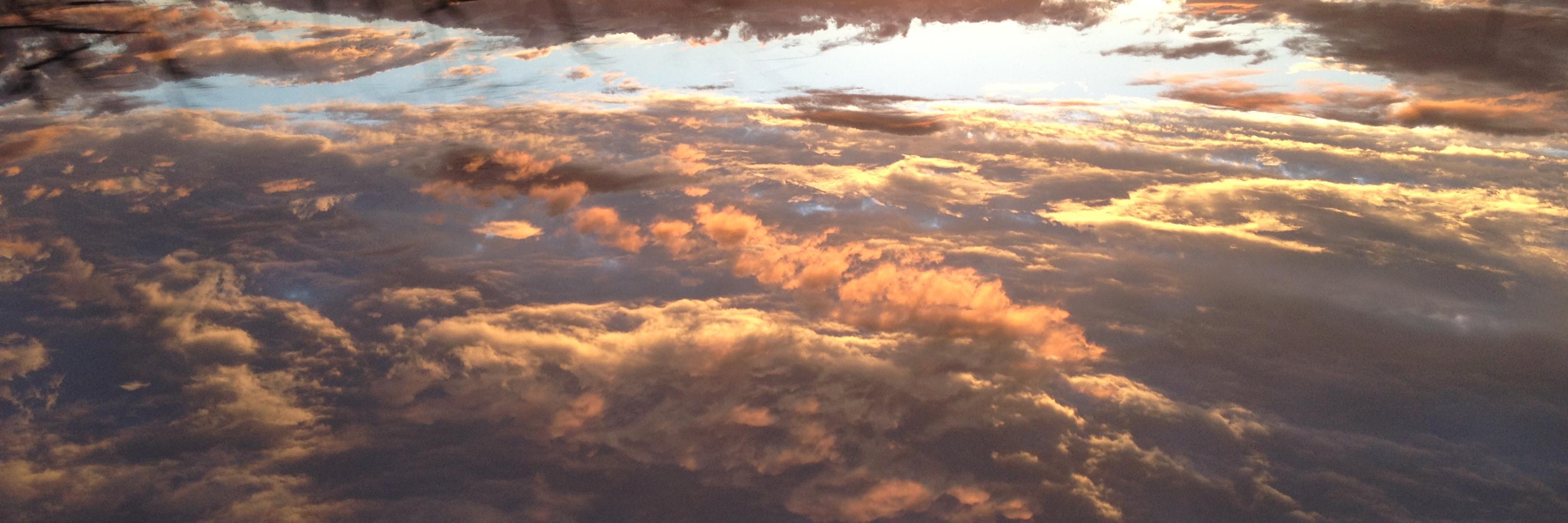 prfmartinelli's profile banner image