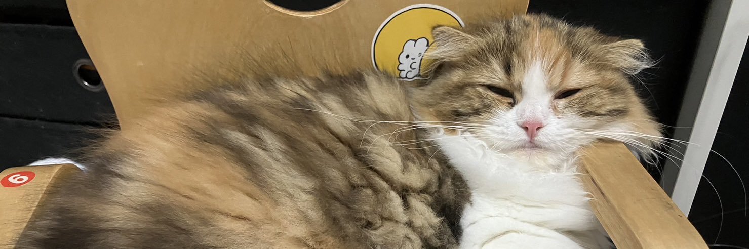 onsentama5's profile banner image