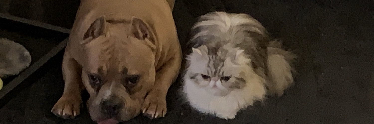 Raquel 🟧 💙 banner