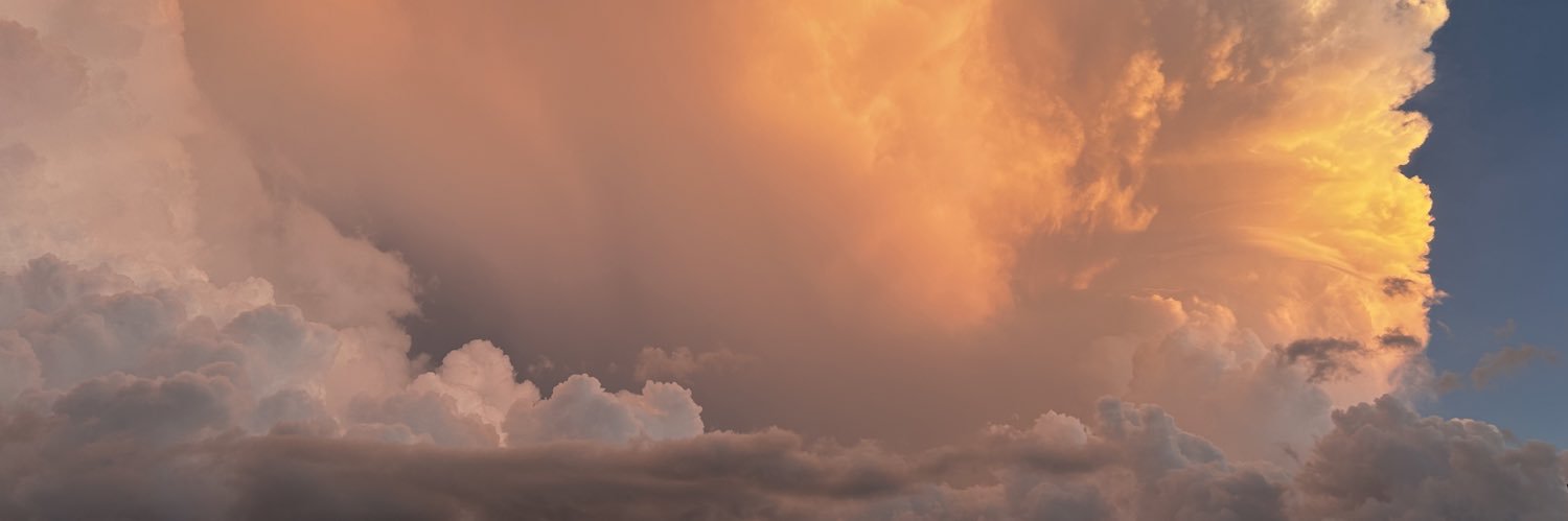 michala1118's profile banner image