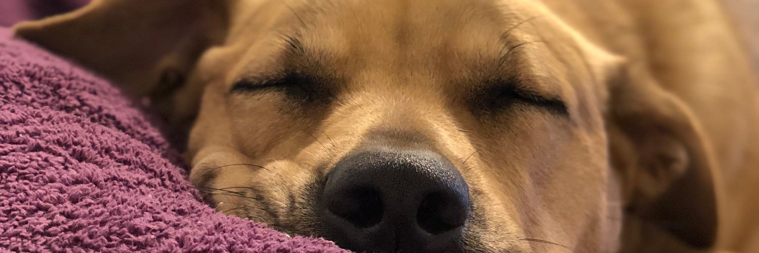 MandaLaViolette's profile banner image