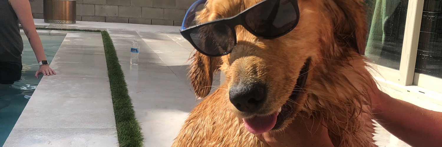 Courtnilynn_'s profile banner image