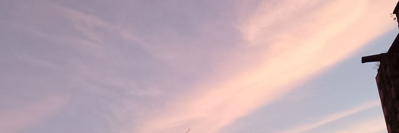valnnugget's profile banner image