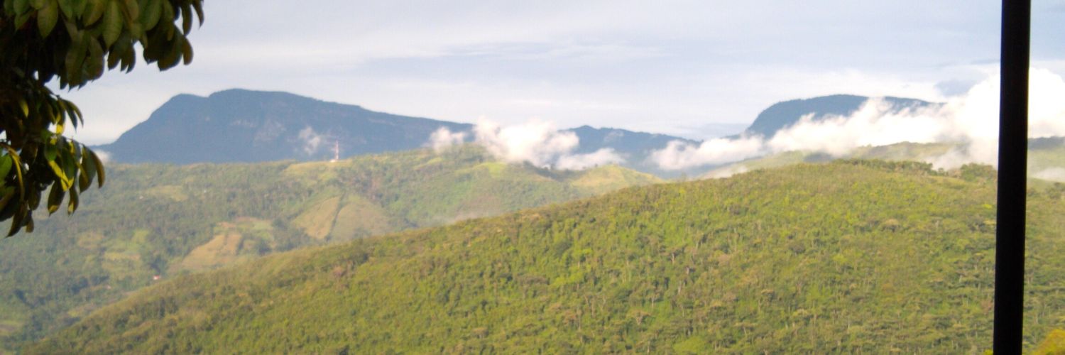LeoGuiza's profile banner image