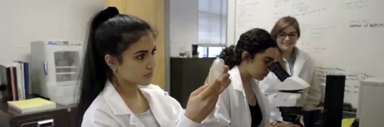 Rebecca Adikes banner