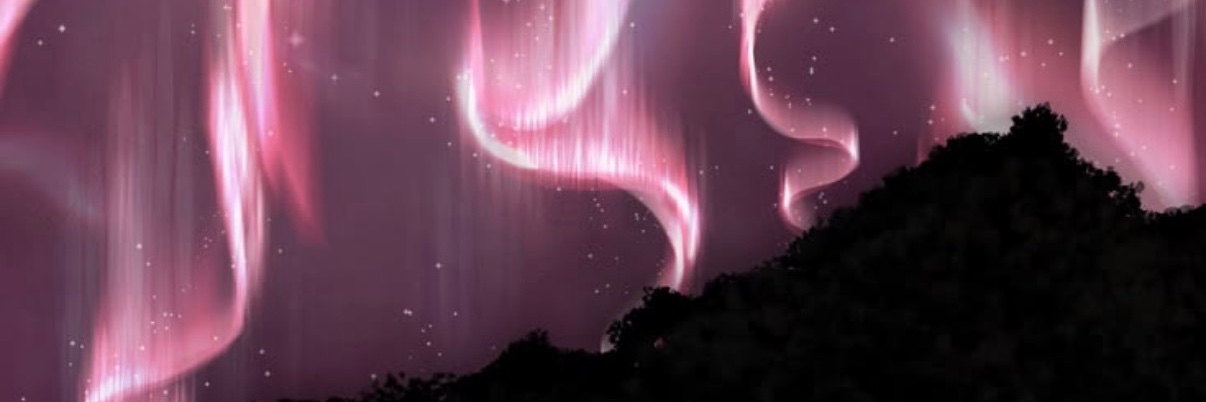 AlxTheFemboy's profile banner image