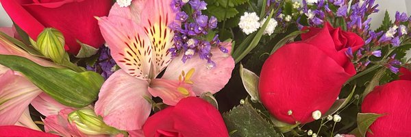 jennteinforma Profile Banner