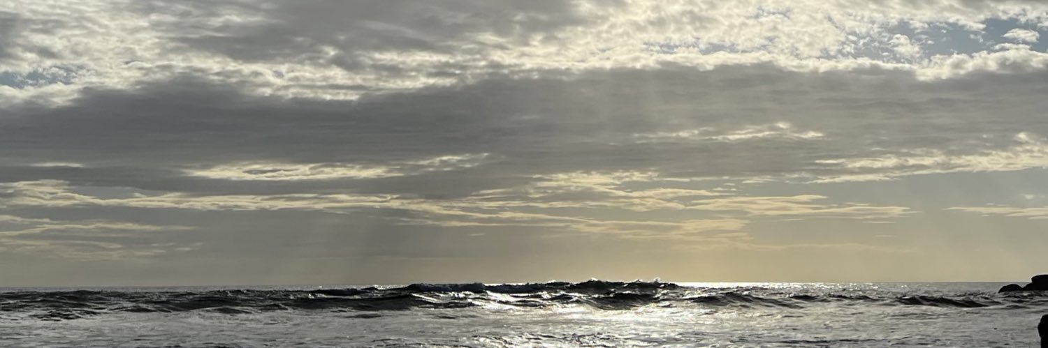 Itzel Montenegro. banner