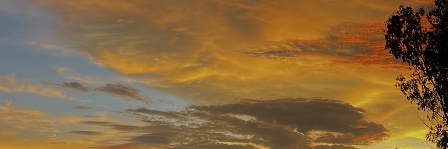 melaydism's profile banner image