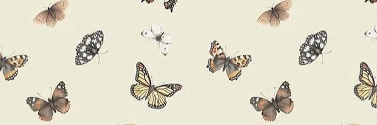 allysonwolfff's profile banner image