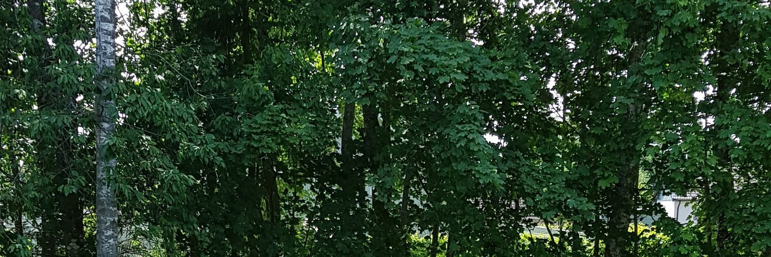 PerSundstrm5's profile banner image