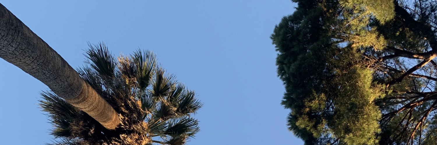 seanbell__'s profile banner image