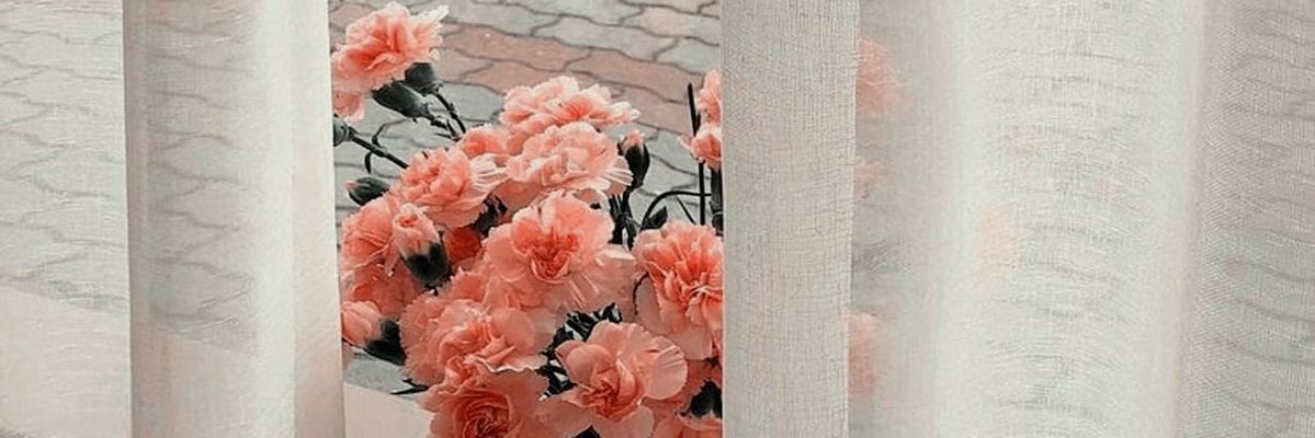 takterpake's profile banner image
