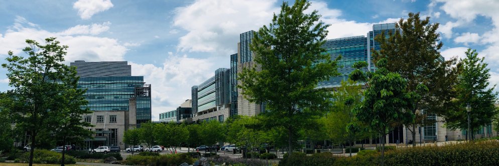 Duke Antimicrobial Stewardship banner