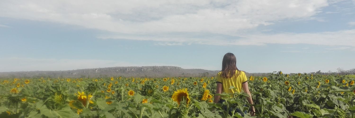 RomiCechet's profile banner image