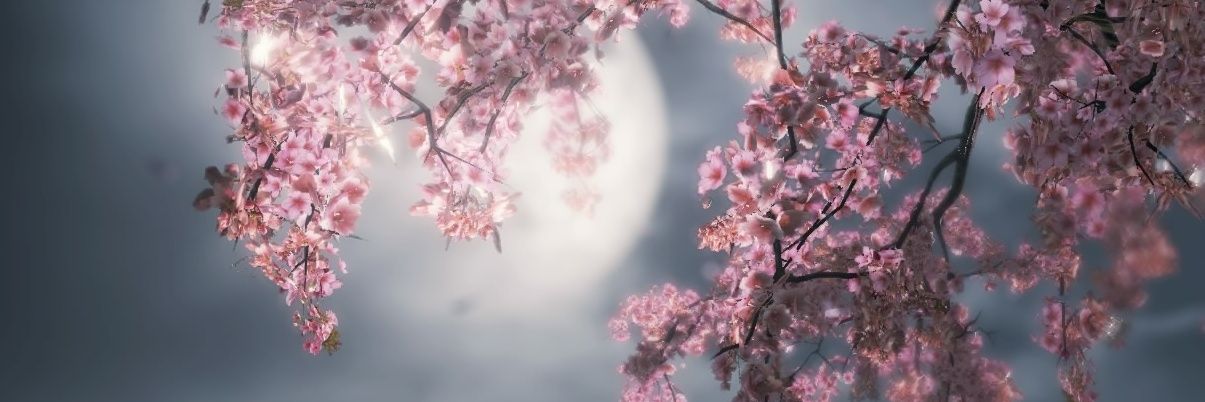 moka0cafe's profile banner image