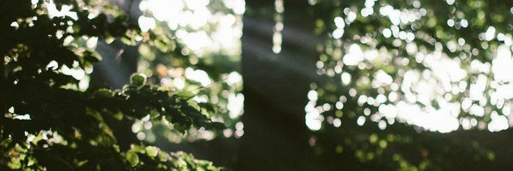 bbyrainyy's profile banner image