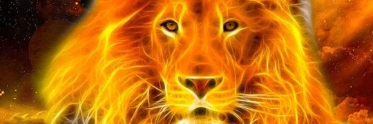 flecha1979's profile banner image