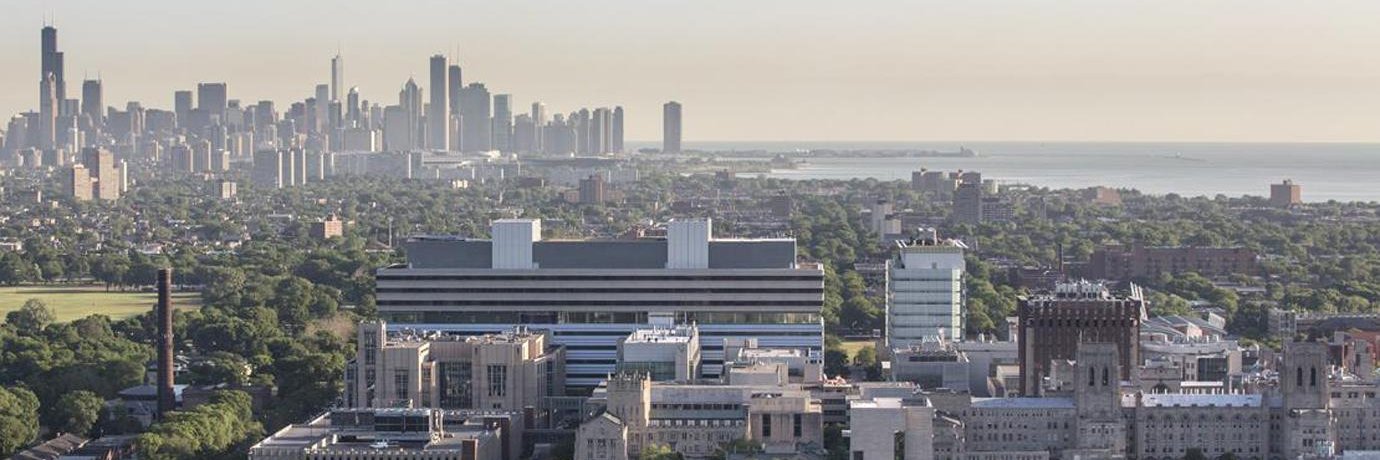 Jeffrey G. Stepan MD, MSc banner