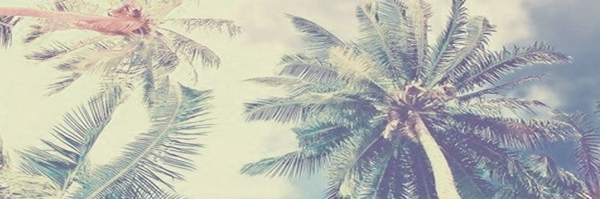 MatiaasNiColasB's profile banner image
