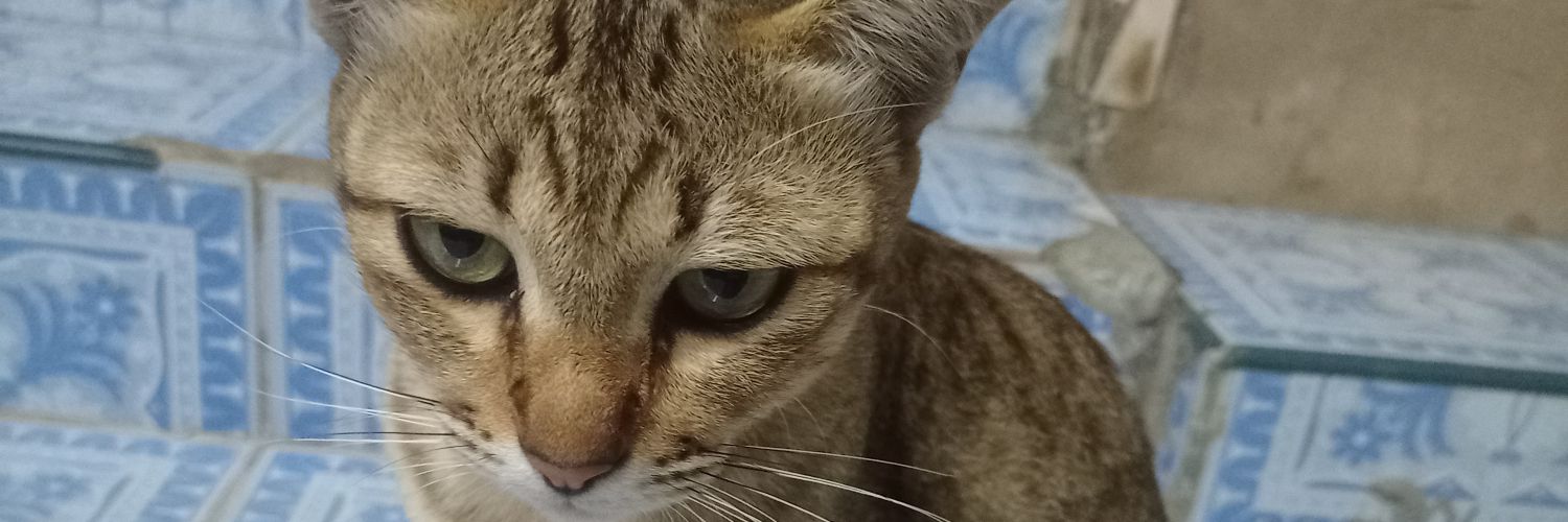 n_____n? banner