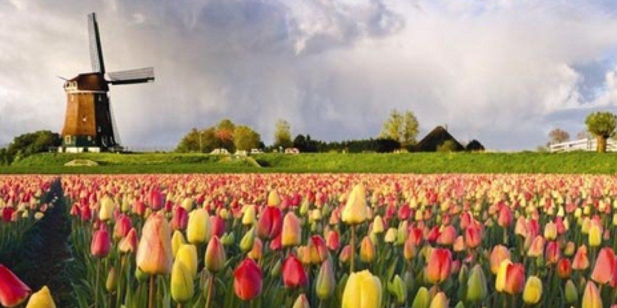 AMJNederland's profile banner image