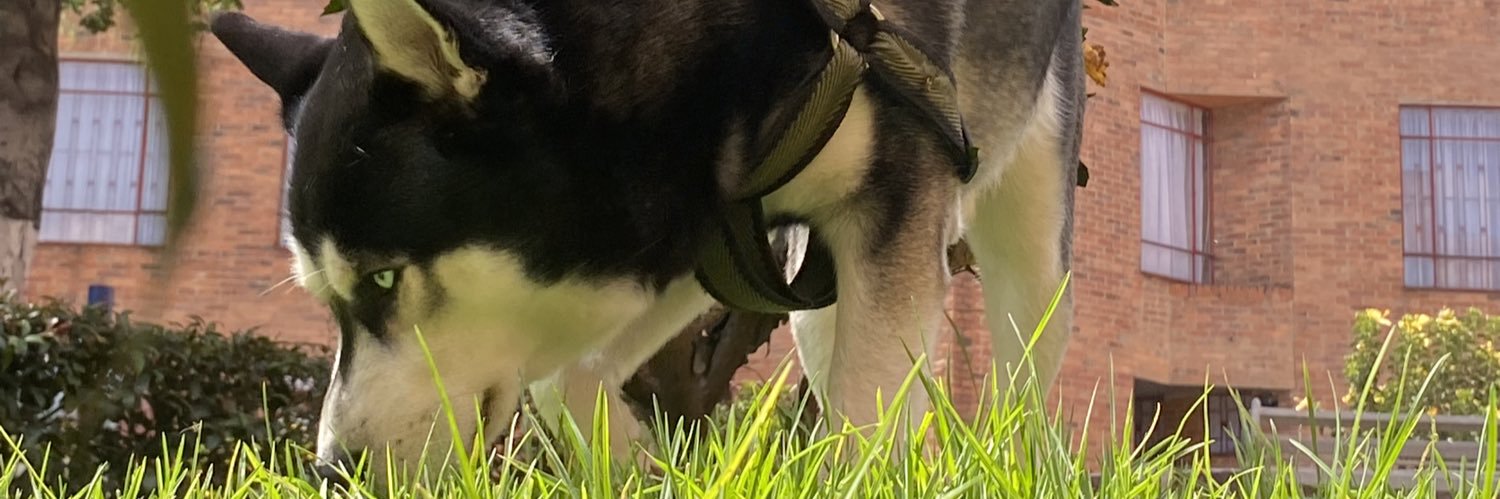 Julian9280's profile banner image